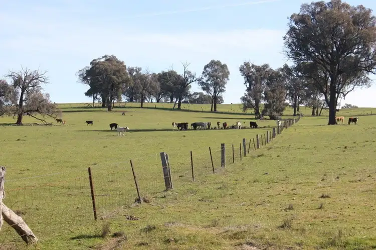 Fifth view of Homely rural property listing, Kanimbla Hume Highway, Tarcutta NSW 2652