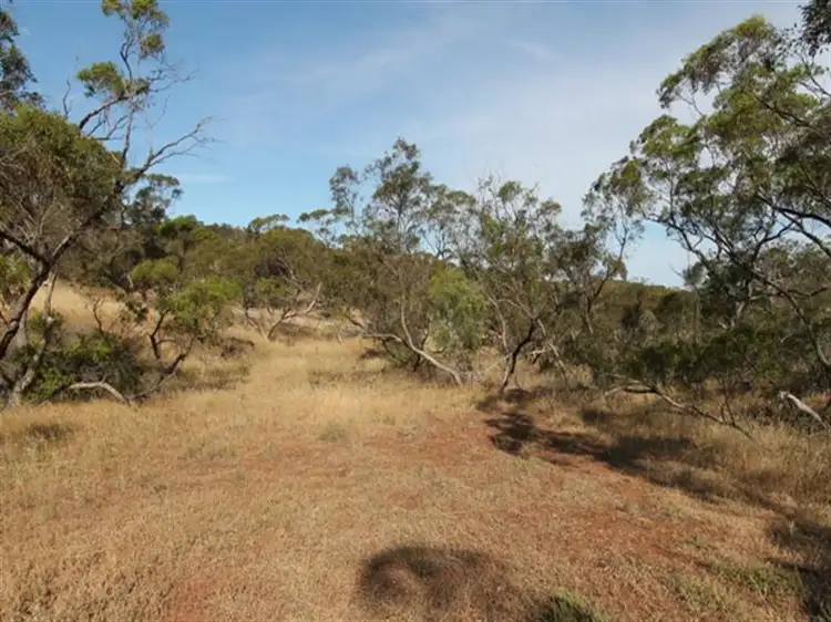 Section 393 Hundred of Yadnarie, Cleve SA 5640
