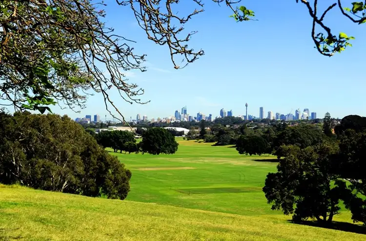 Sixth view of Homely unit listing, 5/19 Pine Street, Randwick NSW 2031