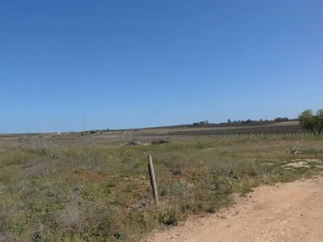 Main view of Homely land listing, 120 Wachtel Road, Moorook SA 5332