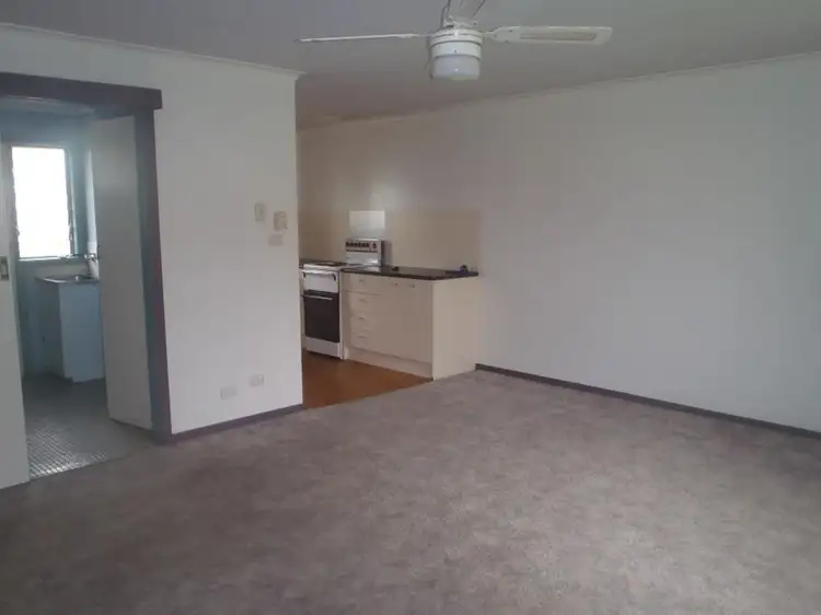 Third view of Homely unit listing, 2/535 Schaefer Street, Lavington NSW 2641