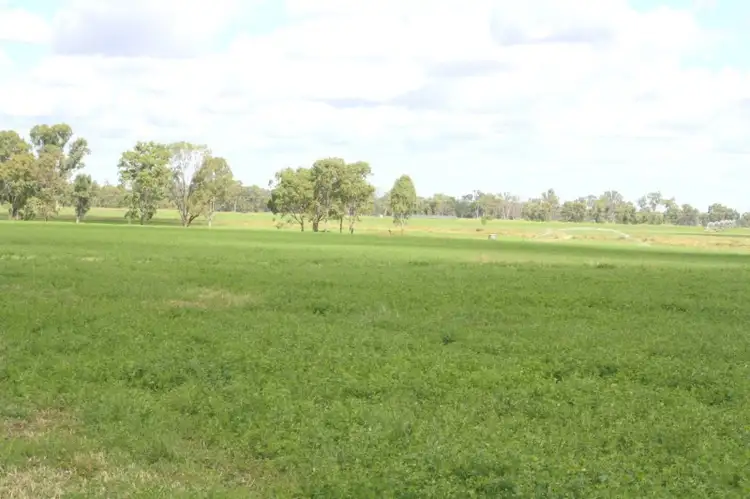 Seventh view of Homely rural property listing, 157 A Creek Road, Eidsvold QLD 4627