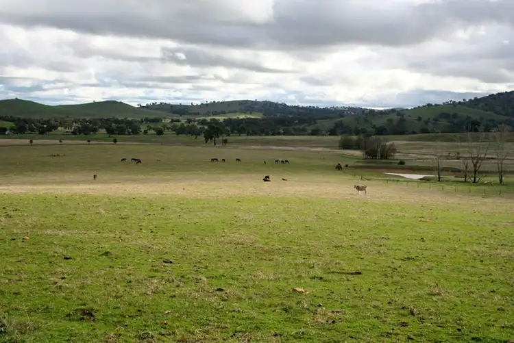 Third view of Homely rural property listing, Address available on request