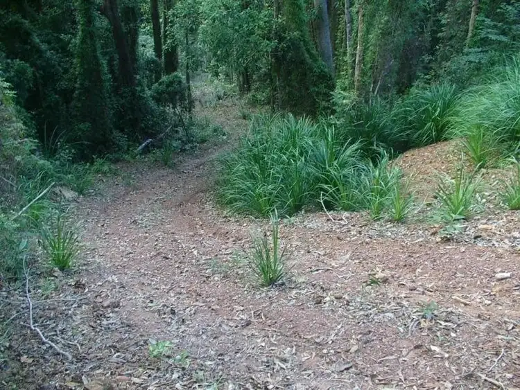 Third view of Homely land listing, Lot 32 Cape Tribulation Road, Daintree QLD 4873