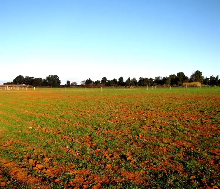 18 and 19 Tunkin Road, Barmera SA 5345