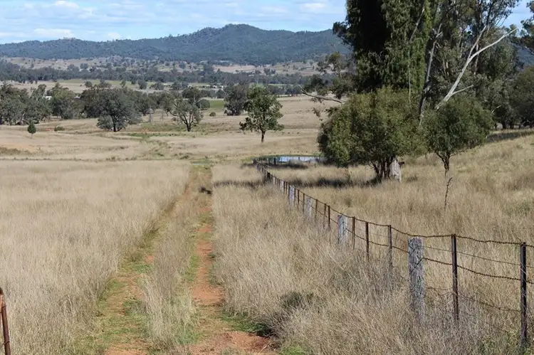 Third view of Homely rural property listing, 244 Sheep Station Creek Road, Bingara NSW 2404