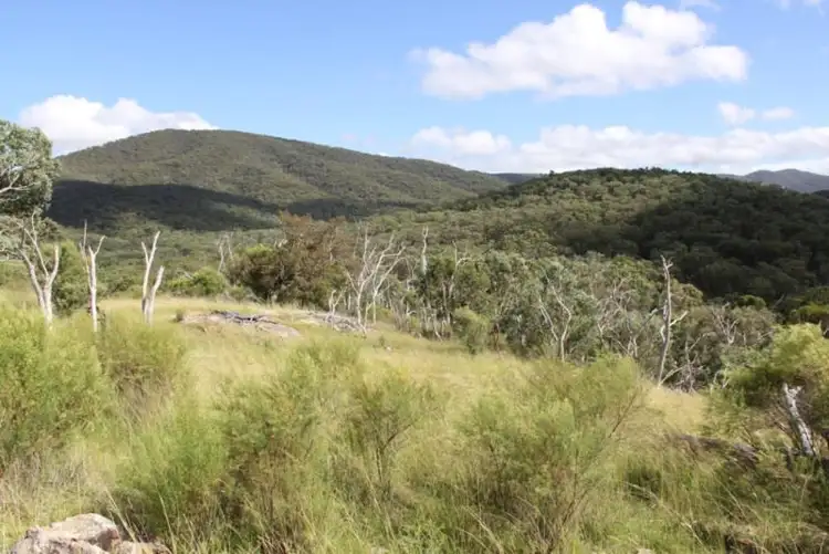 Seventh view of Homely rural property listing, Lot 1 Sawyers Gully Road, Tenterfield NSW 2372