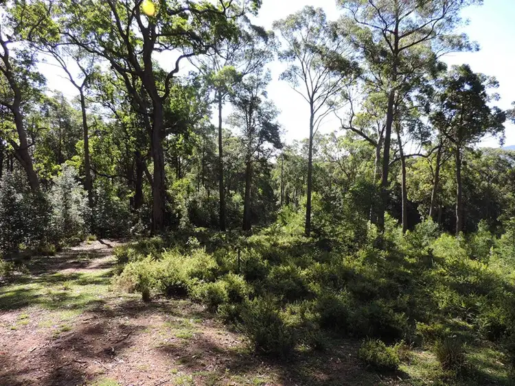 Third view of Homely land listing, 470 Bugong Road, Tapitallee NSW 2540