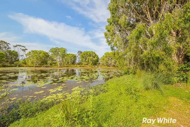 Main view of Homely house listing, 41 Melrose Avenue, Bellara QLD 4507