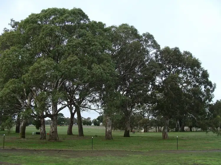Fifth view of Homely rural property listing, 000 Hamilton - Digby Road, Hamilton VIC 3300