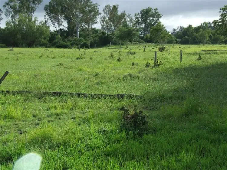 Seventh view of Homely rural property listing, 24 "Graceville" Andy Road, Morinish QLD 4702