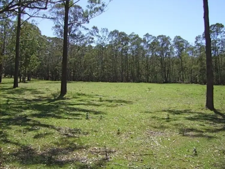 Third view of Homely rural property listing, 317B Little Forest Road, Little Forest NSW 2538