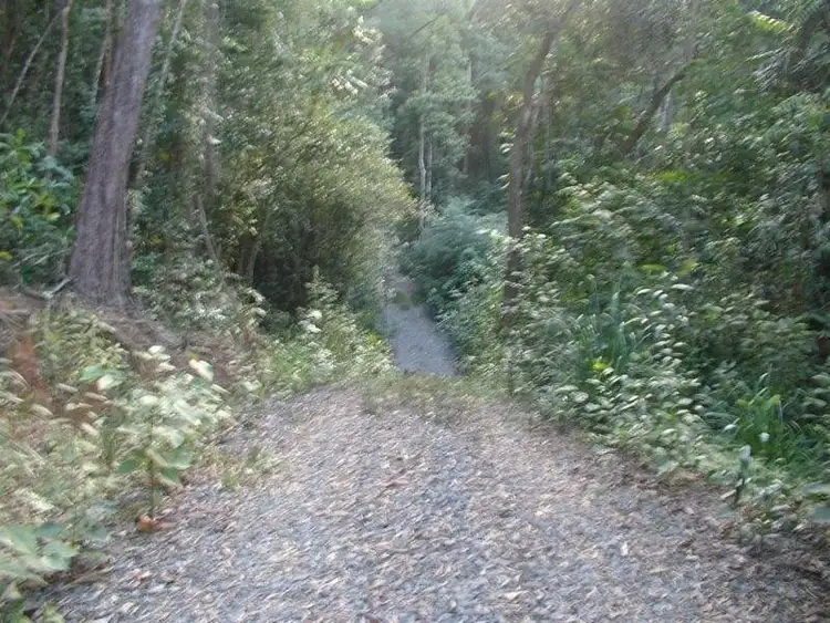 Fifth view of Homely land listing, Lot 32 Cape Tribulation Road, Daintree QLD 4873