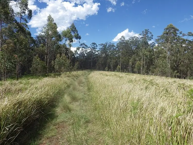 Seventh view of Homely rural property listing, 640 Harness Cask Road, Tyringham NSW 2453