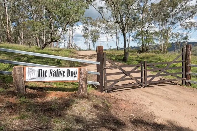 Main view of Homely rural property listing, 'Native Dog' Mount Neale Road, Ramsay QLD 4358