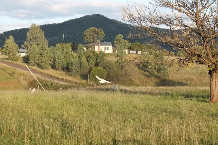 Main view of Homely house listing, 5-7 Salter Street, Bingara NSW 2404