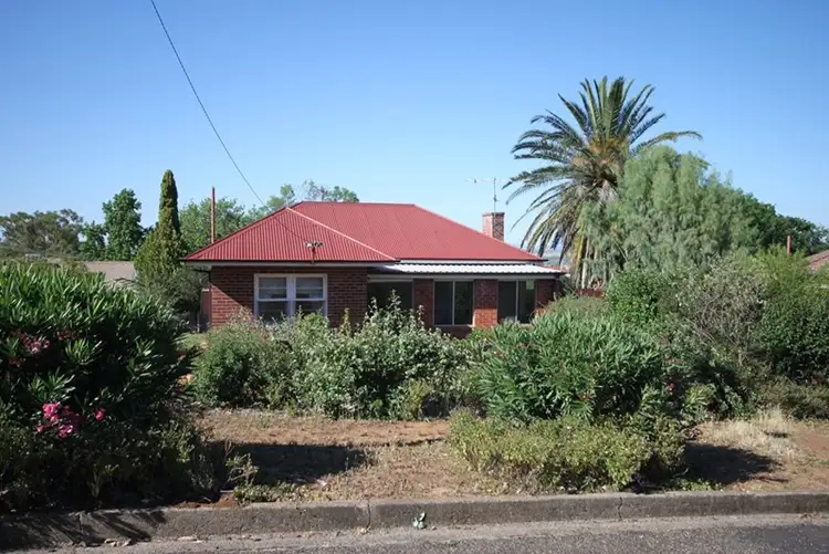 Main view of Homely house listing, 91 Napier Street, Tamworth NSW 2340