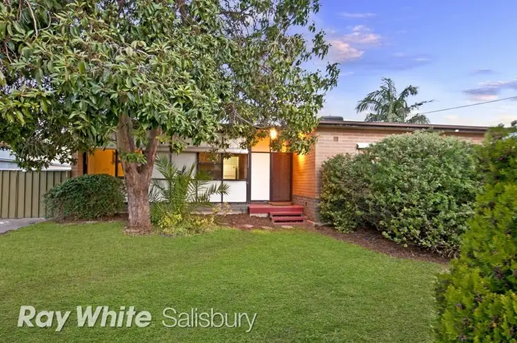 31 Walker Avenue, Paradise SA 5075