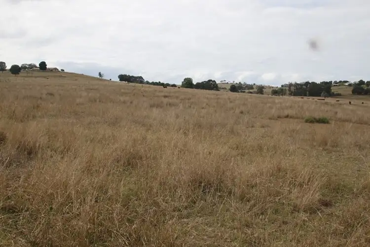Sixth view of Homely rural property listing, 43 Stanley Road, Monto QLD 4630