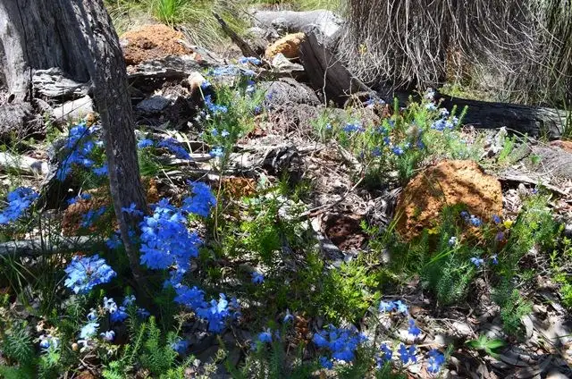 Second view of Homely land listing, 47 Tooday Glen, Chittering WA 6084