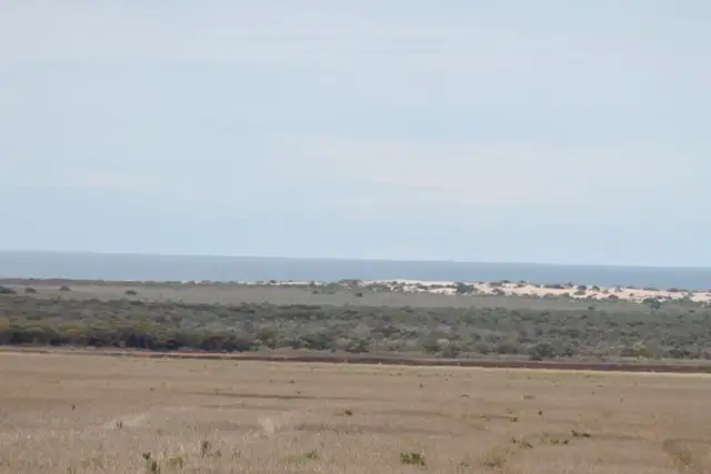 Third view of Homely rural property listing, Section 19 Hundred of Hawker, Cowell SA 5602