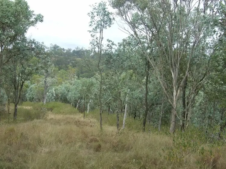 Seventh view of Homely rural property listing, L204 Dahl Road, Crows Nest QLD 4355