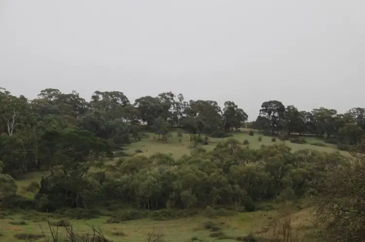 Fourth view of Homely rural property listing, Lot 2 Charles Street, Rydal NSW 2790