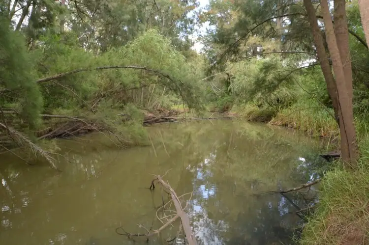 Fourth view of Homely rural property listing, 2868 Paynes Crossing Road, Wollombi NSW 2325