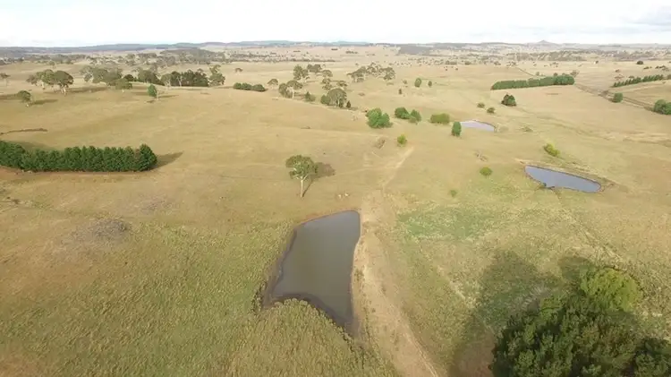 Main view of Homely rural property listing, 7356 Guyra Road, Guyra NSW 2365