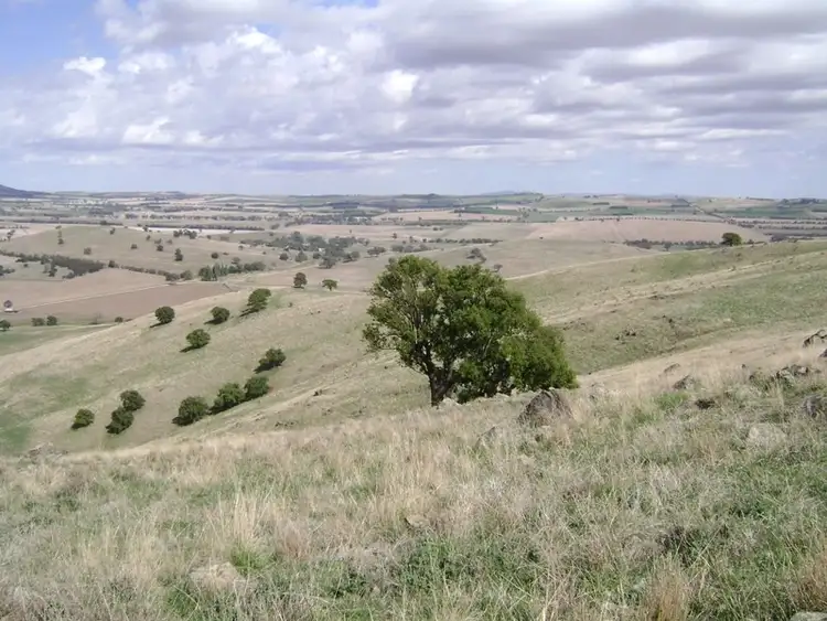 Seventh view of Homely rural property listing, 16 Warrendale Road, Koorawatha NSW 2807