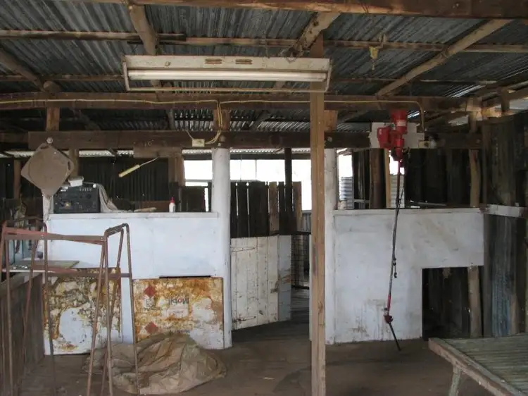 Fifth view of Homely rural property listing, 1500 Mount Darling Road, Wyangala NSW 2808