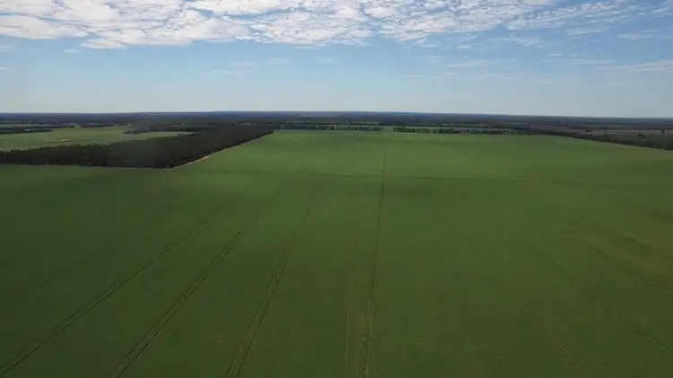 Second view of Homely rural property listing, 9698 ROMA - CONDAMINE Road, Condamine QLD 4416