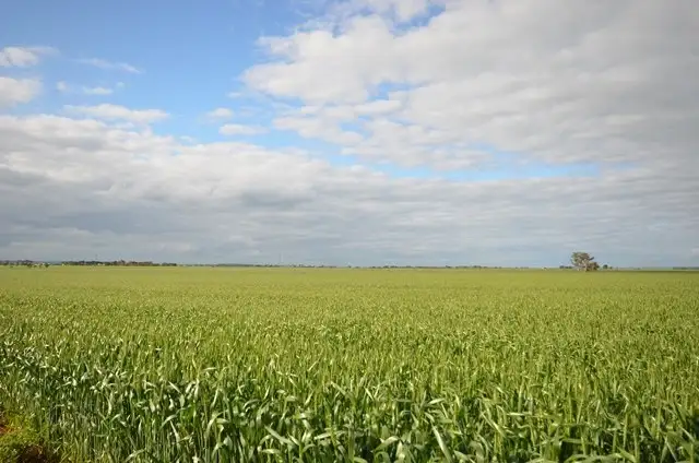 Seventh view of Homely rural property listing, "Welkes" Lakeview Road, Brinkworth SA 5464