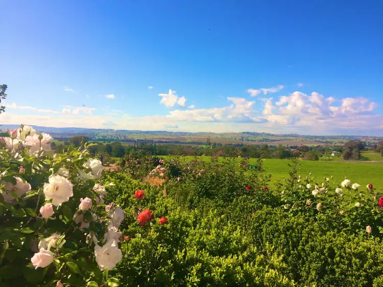 Third view of Homely rural property listing, 46 Red Lane, Canowindra NSW 2804
