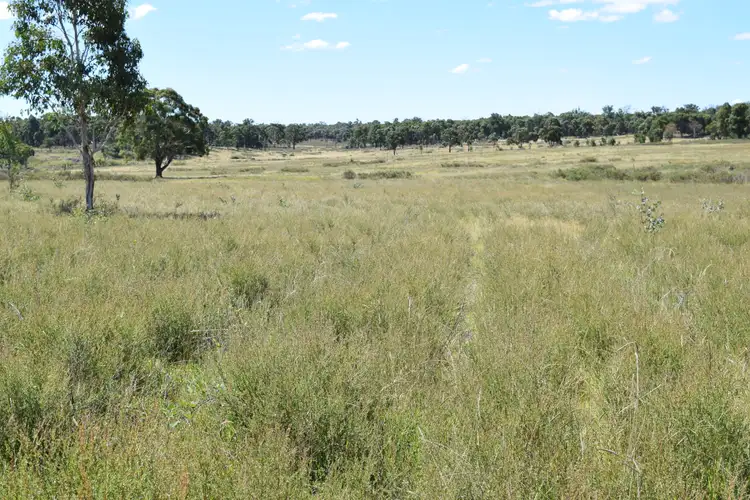 Seventh view of Homely rural property listing, Big Mill 523 Westbrook Road, Guyra NSW 2365