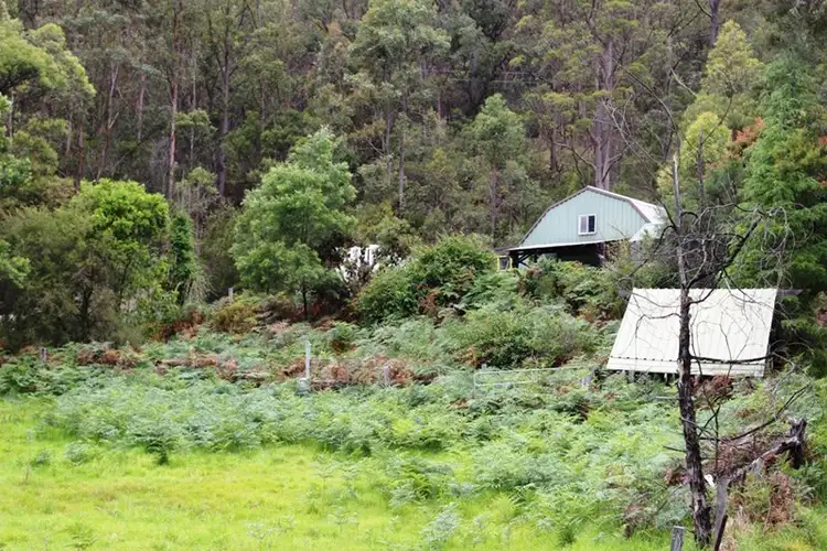 Third view of Homely rural property listing, 169 Burralong Valley Road, Laguna NSW 2325