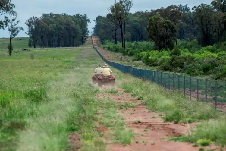 Sixth view of Homely rural property listing, 1400 Merton Road, Yelarbon QLD 4388