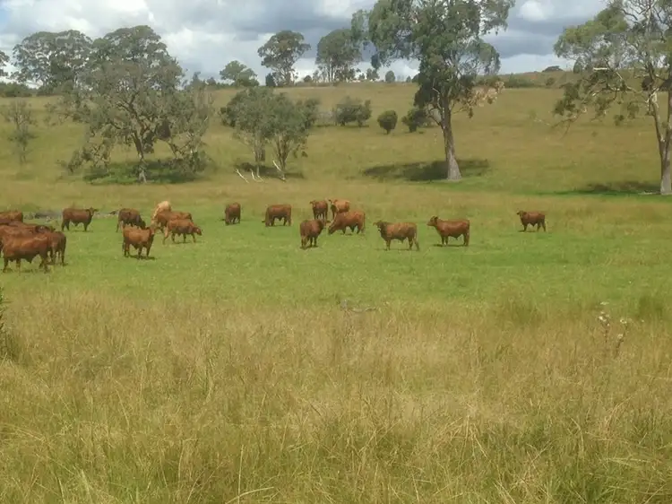 Main view of Homely rural property listing, Lot 1 and 2 New England Highway, Crows Nest QLD 4355