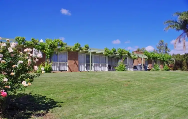 146 Chino Street, Renmark SA 5341