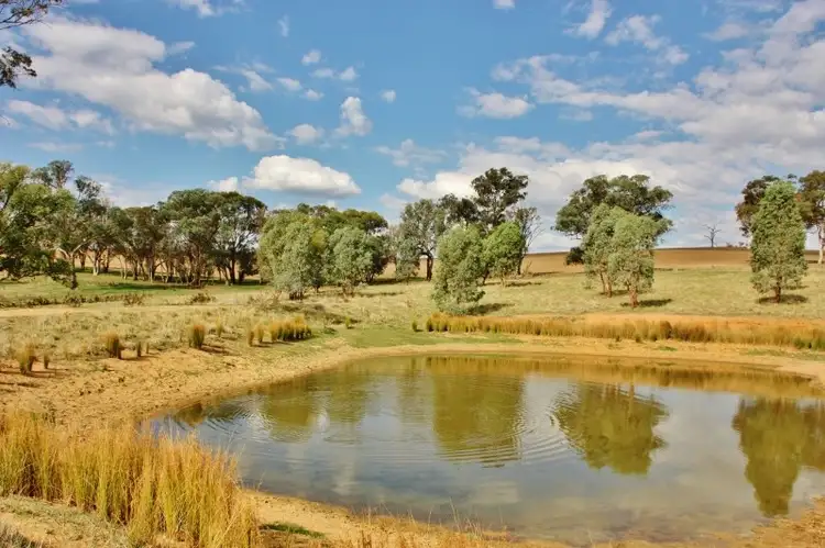Fifth view of Homely land listing, Lot 16 Golden Grove Road, Young NSW 2594