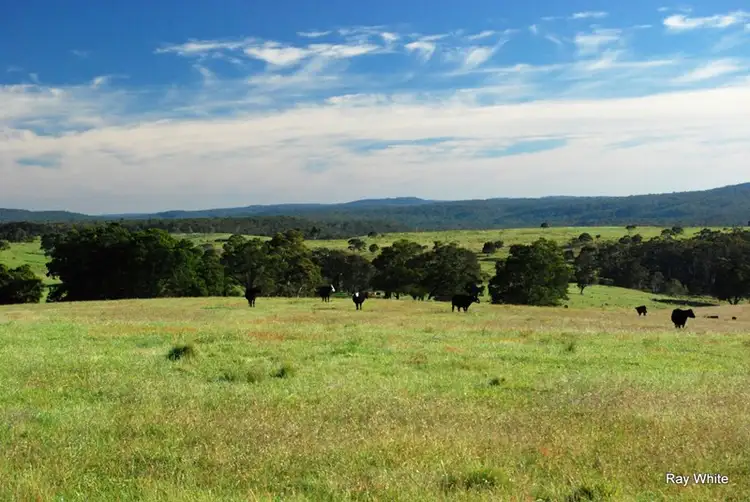 Main view of Homely rural property listing, 3600 Nerriga Road, Braidwood NSW 2622