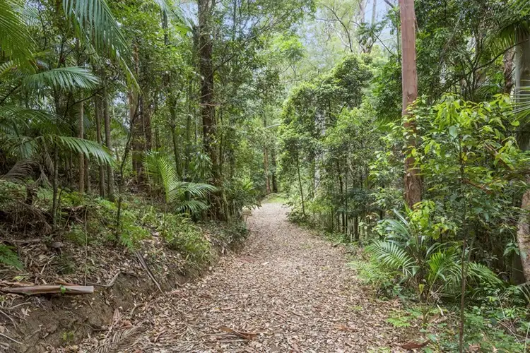 Sixth view of Homely rural property listing, Lot 5 Booka Road, Upper Crystal Creek NSW 2484
