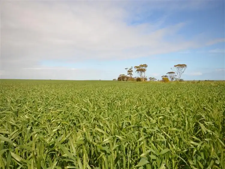 Sixth view of Homely rural property listing, Various Secs Balaklava - Pt Wakefield Road, Bowmans SA 5550