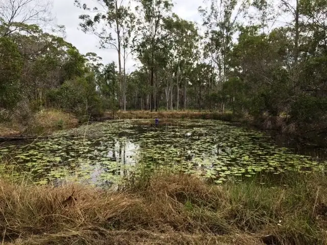 Fourth view of Homely land listing, 46 Bellbird Drive, Bucca QLD 4670