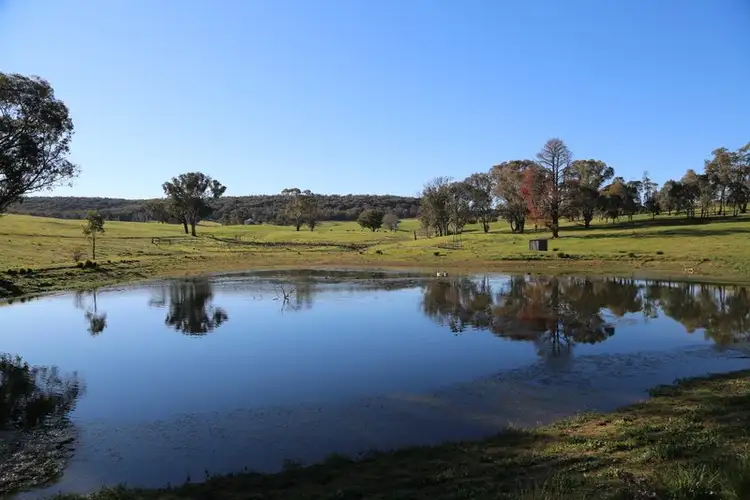 Sixth view of Homely rural property listing, 105 Peakview Road, Young NSW 2594