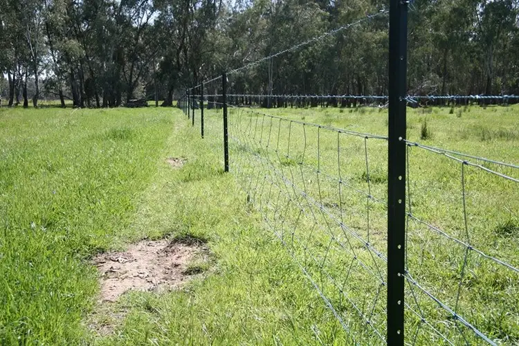Fourth view of Homely rural property listing, 0 "Fivejay", Forbes NSW 2871