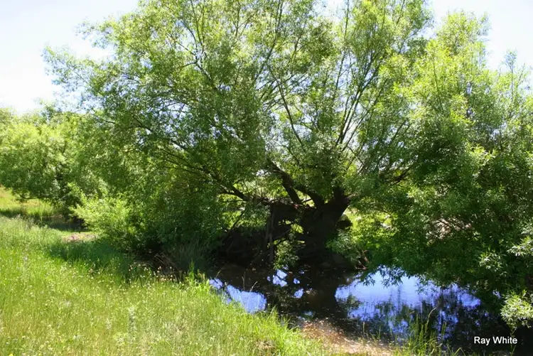 Seventh view of Homely rural property listing, Lot 10 Araluen Road, Braidwood NSW 2622