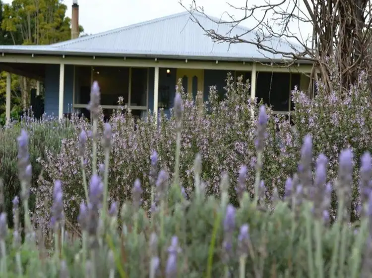 Third view of Homely house listing, 139 Morpeth Street, Mount Barker WA 6324