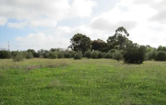 Fourth view of Homely land listing, Lot 21 Ormsby Road, Kudla SA 5115
