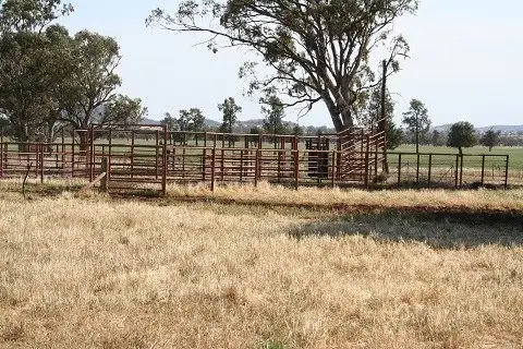 Seventh view of Homely rural property listing, 01 Quandong, Tooraweenah NSW 2831